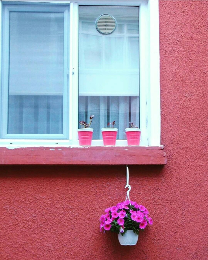 people loves pink.
