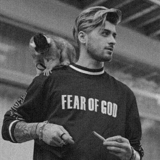 zayn malik