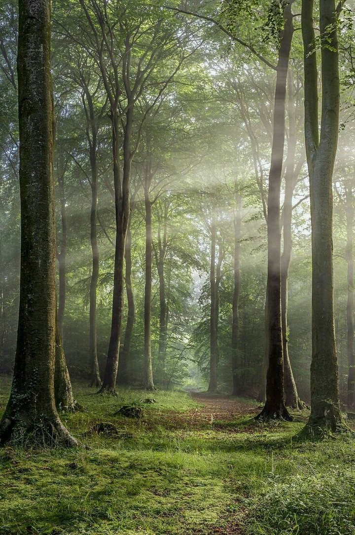 nature