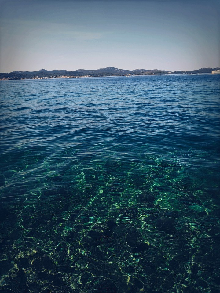 TheBigBlue