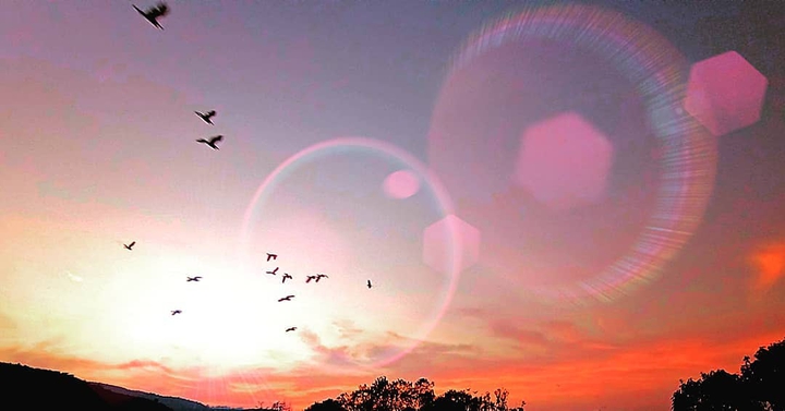 sunset