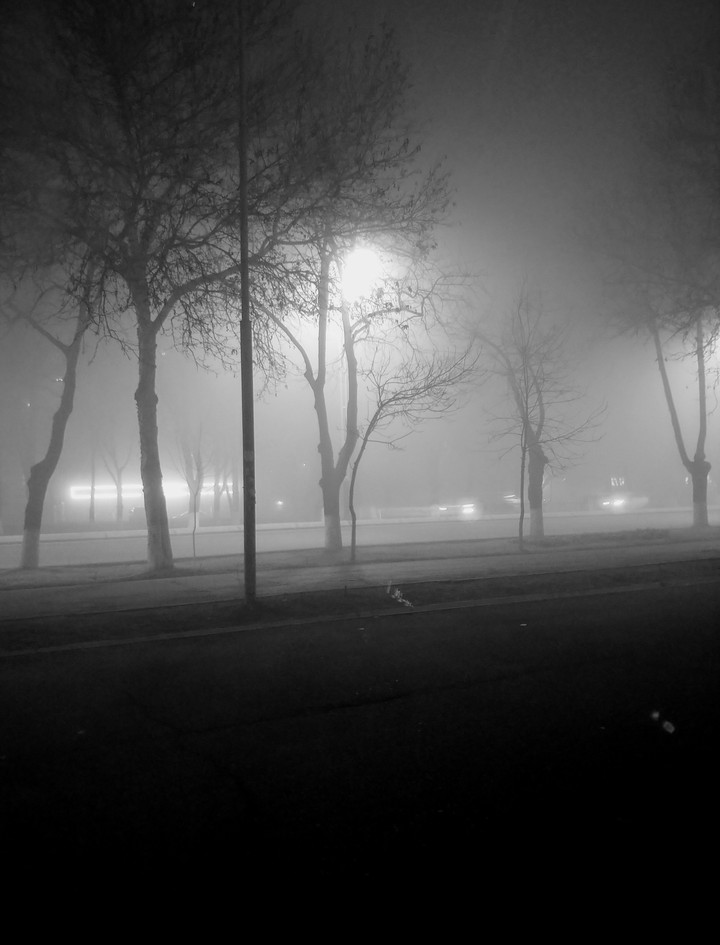 Endless solitude