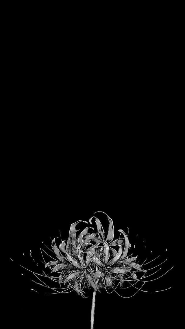 tokyo ghoul
