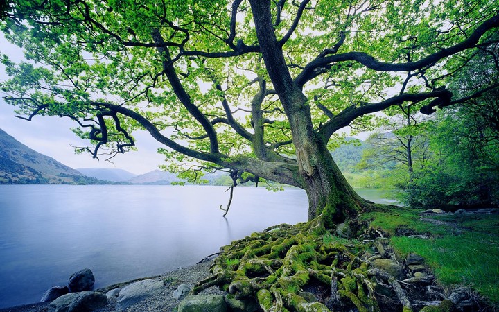 lake of eden