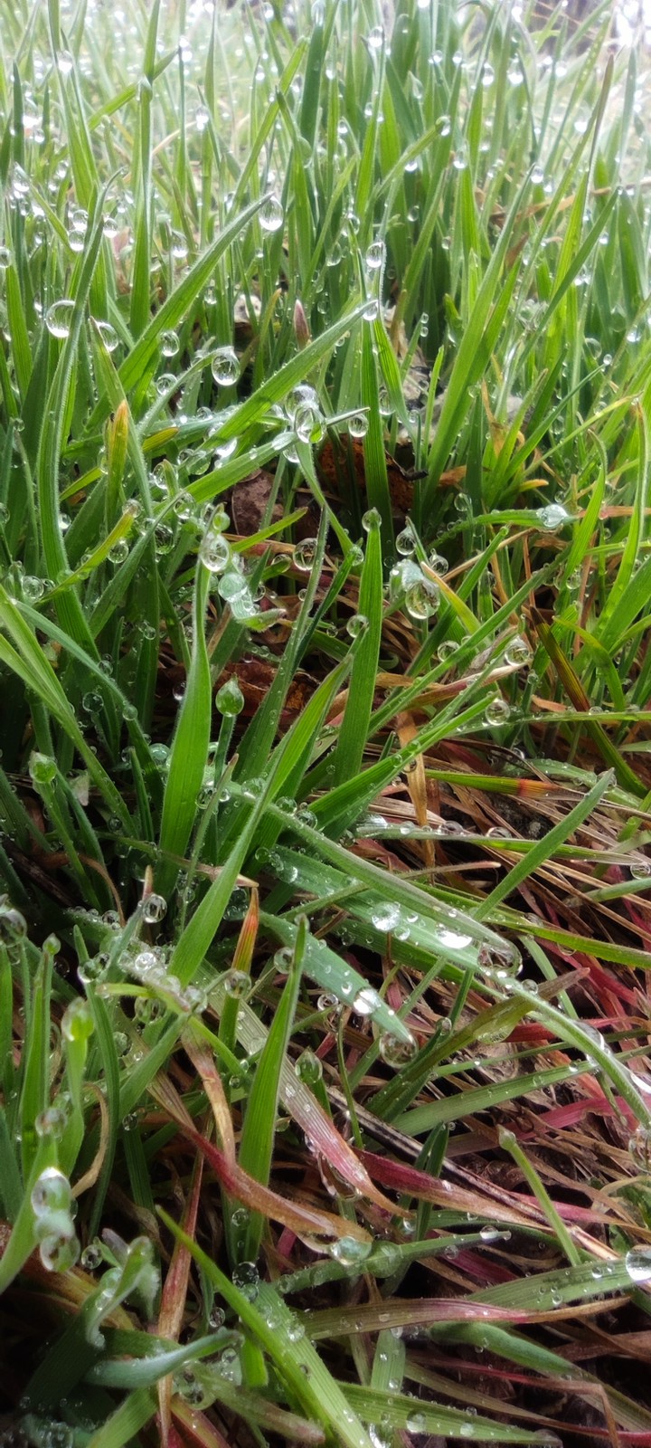 morning