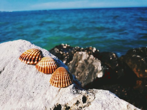 Adriatic sea