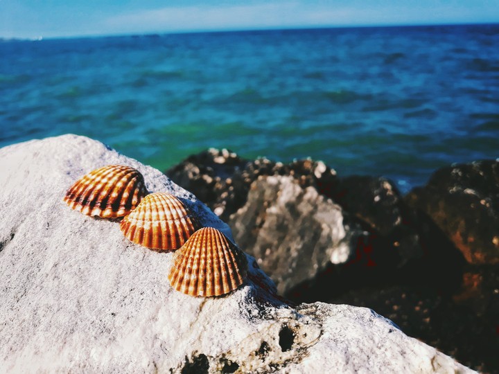 Adriatic sea