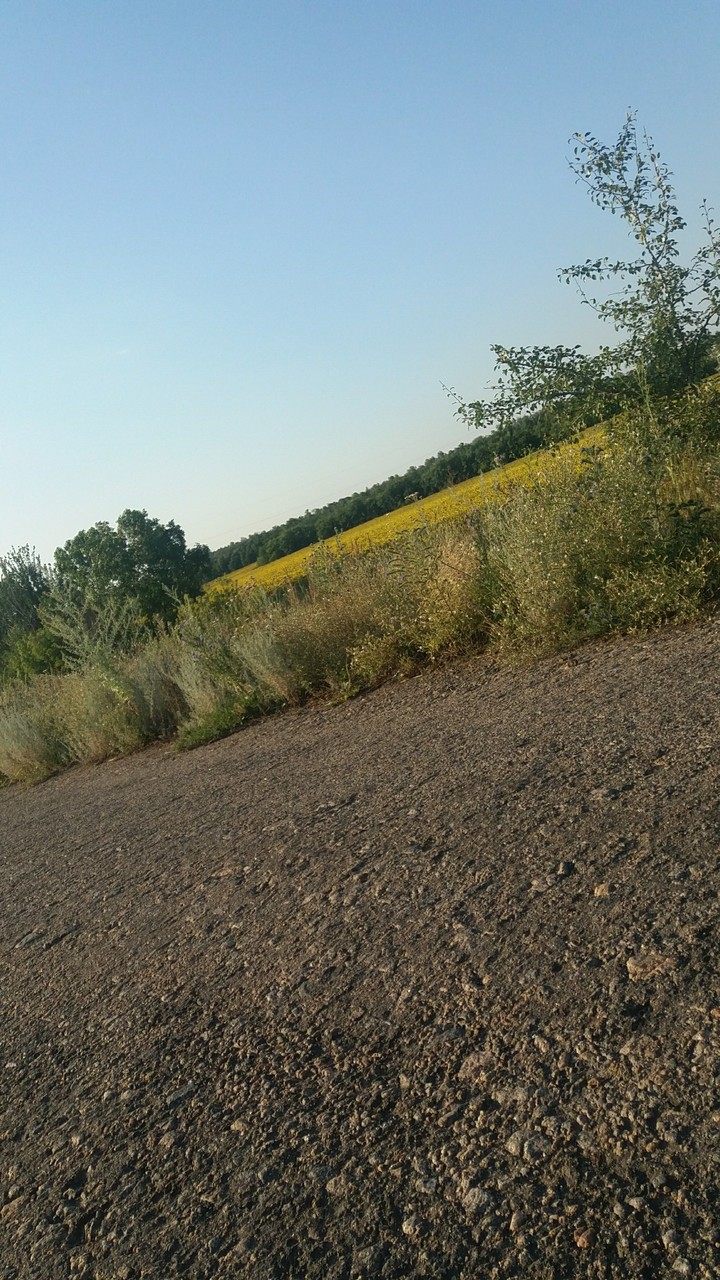 Summer