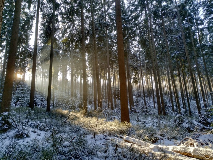 winter sunlight