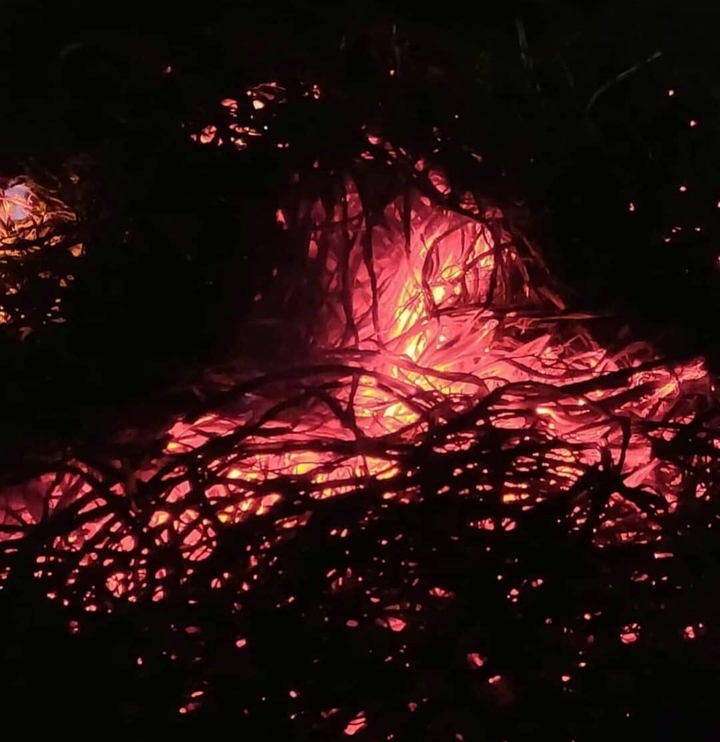 fire ?