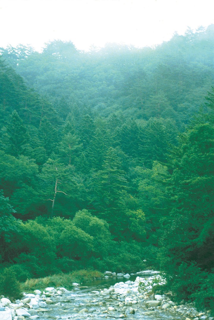 풍경이미지