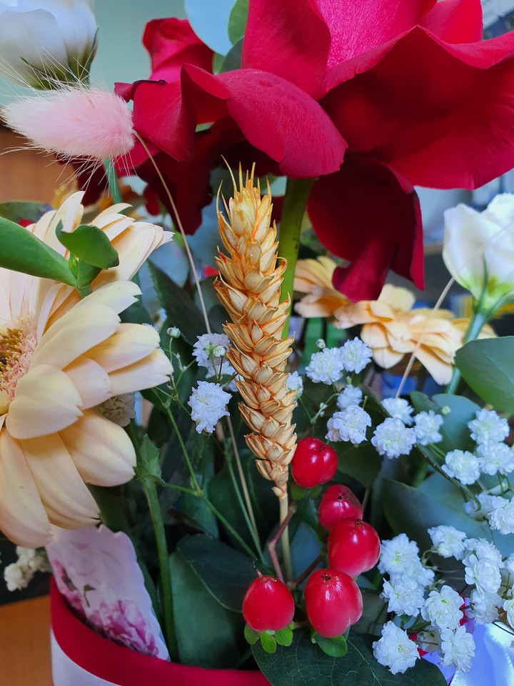 Office 04.10.2019