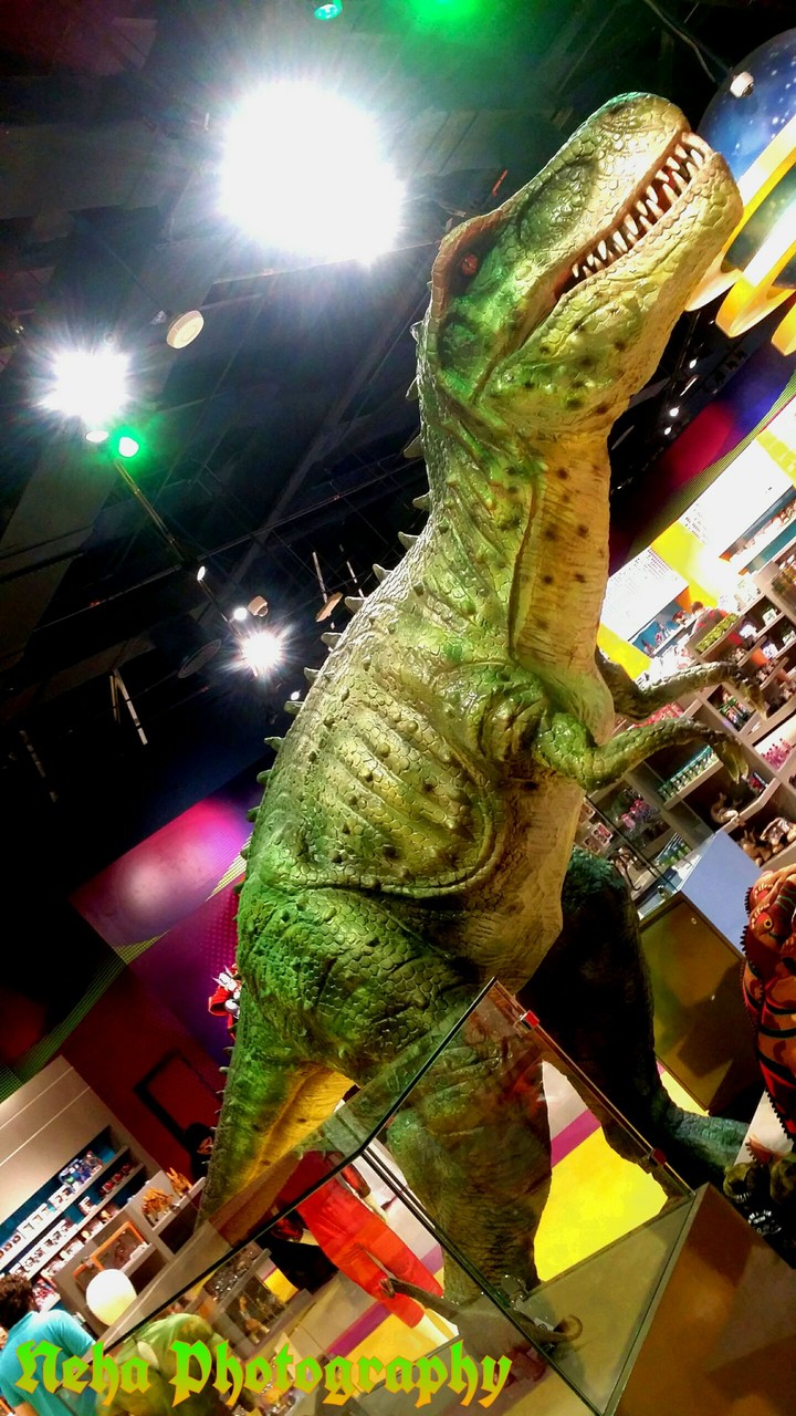 Neha Photography - Raptor  (Minute Pixels)