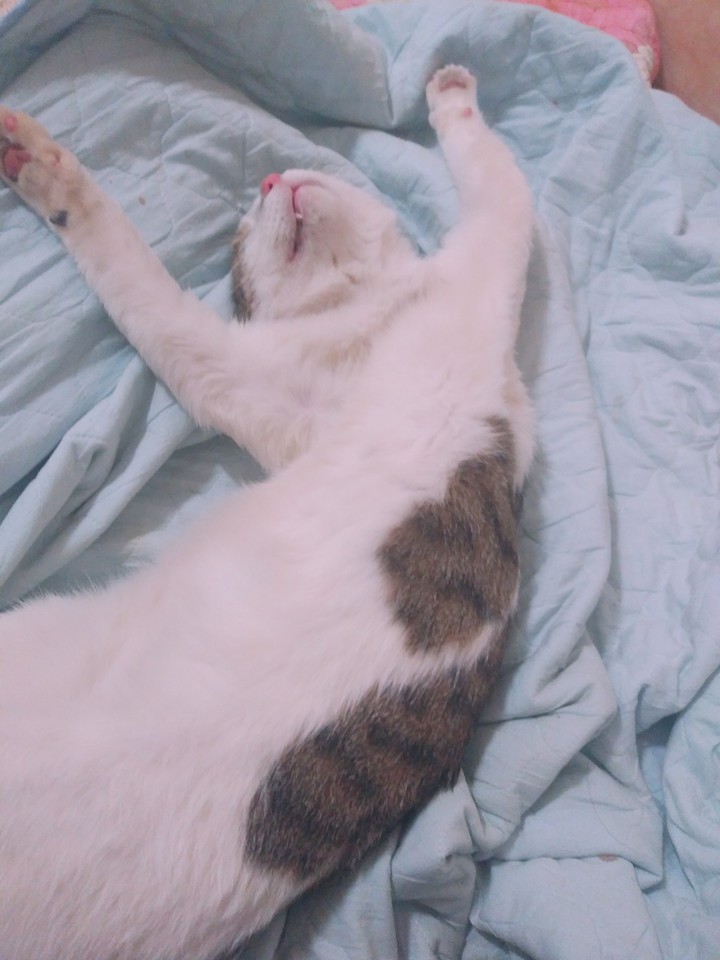 ㅇ