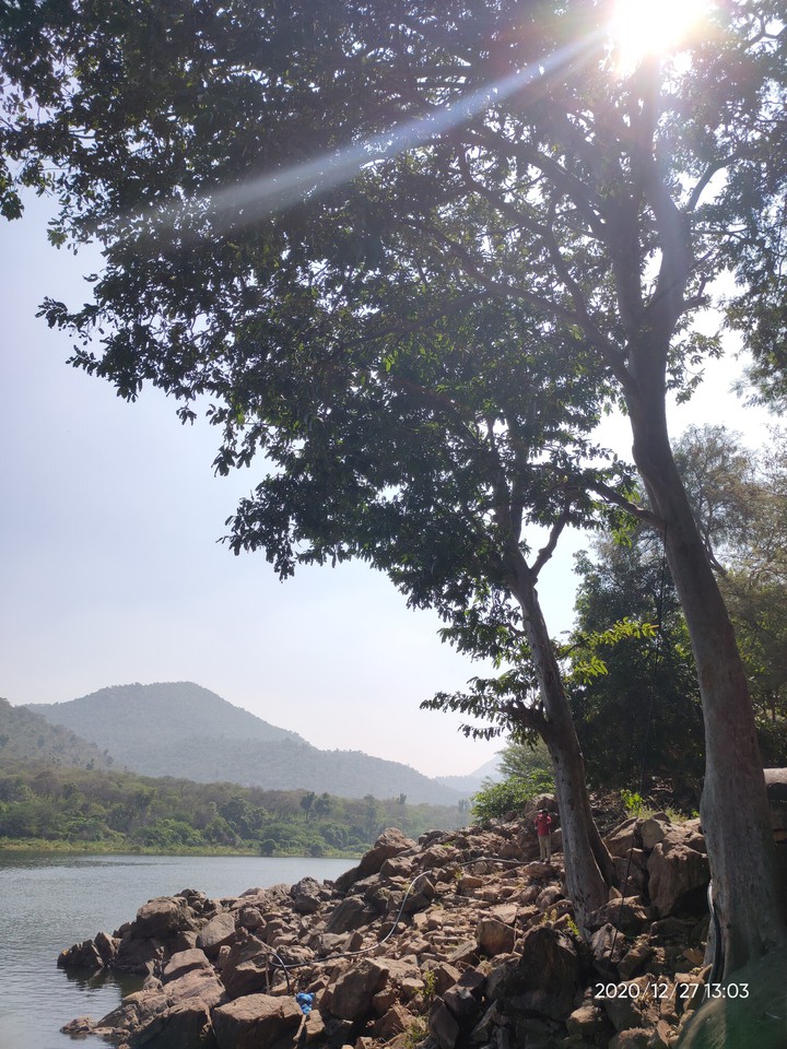 nature