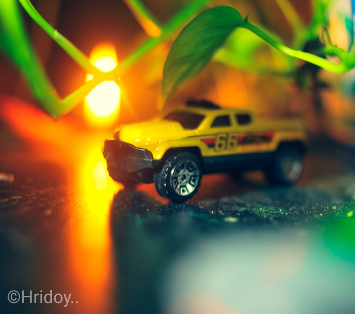 toy world