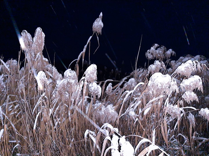 Cold winter night
