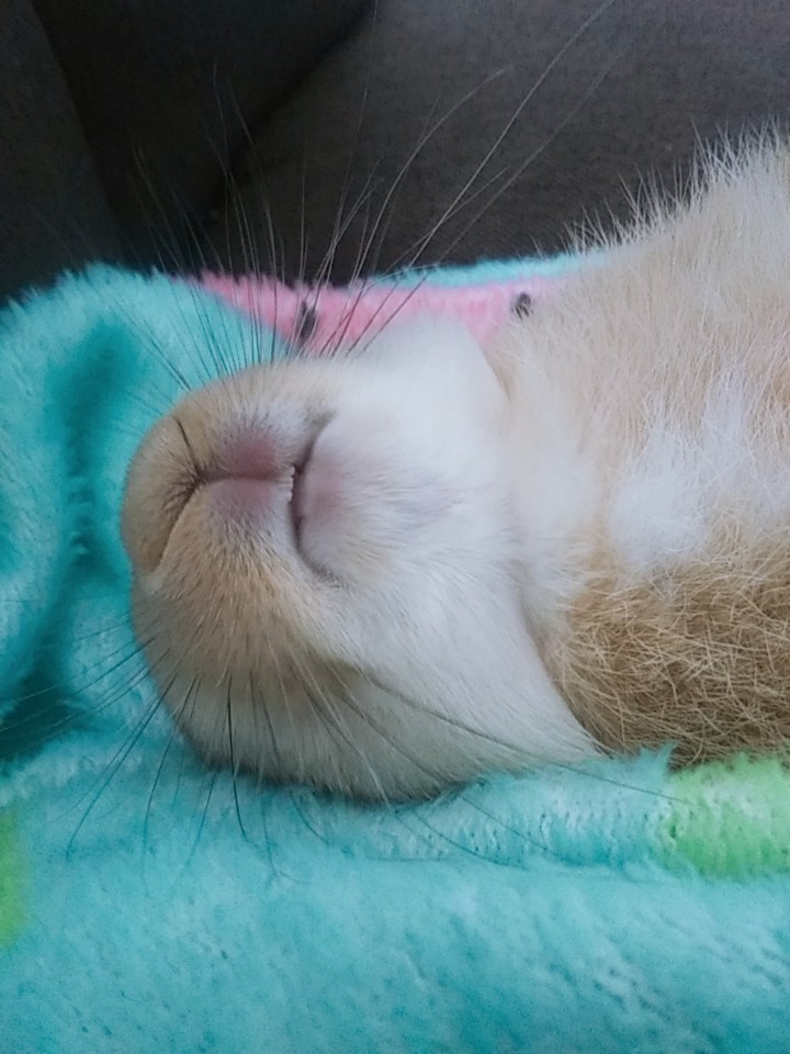 무편집
