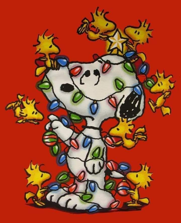 christmas *̣̥☆·͙̥❄‧̩̥࿌ིྀ྇˟͙☃️˟͙࿌ིྀ྇‧̩̥❄·͙̥̣☆*̣̥