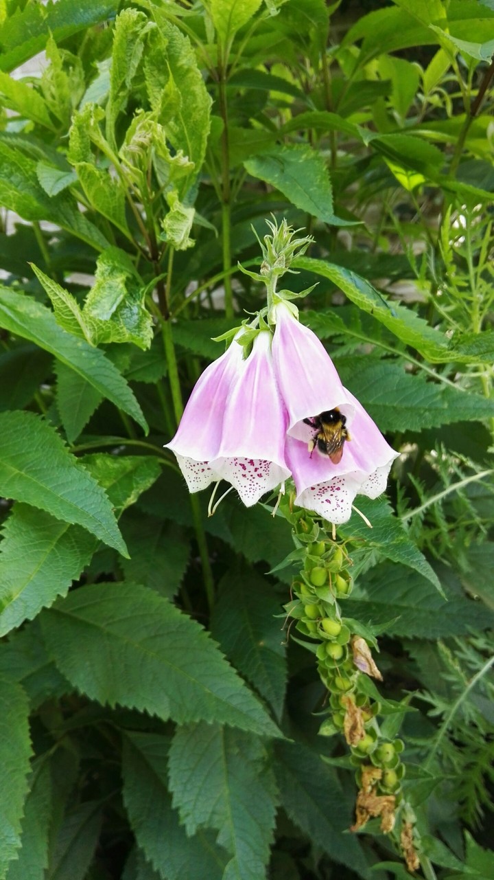 I'll bee there!