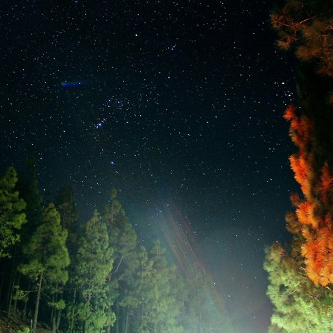 Stars