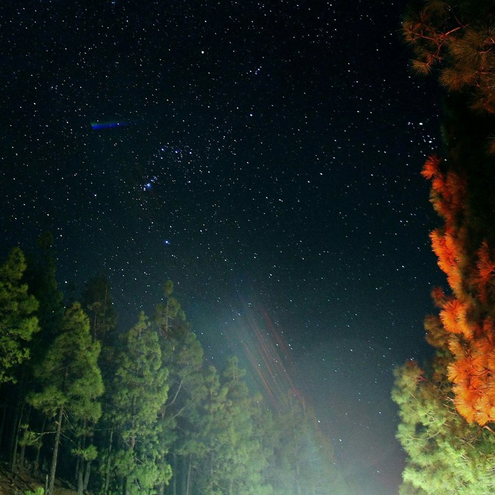 Stars