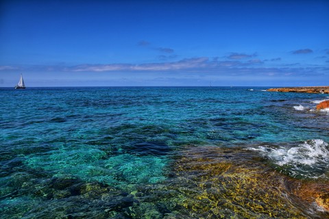 Green sea