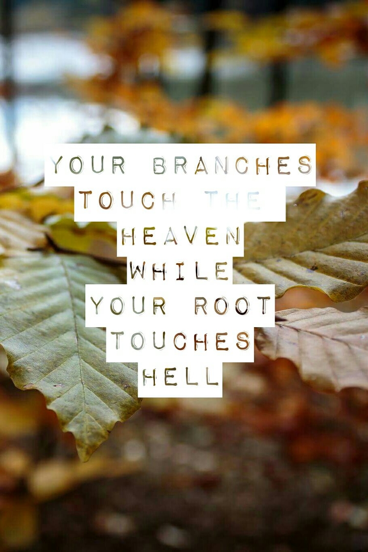 branches