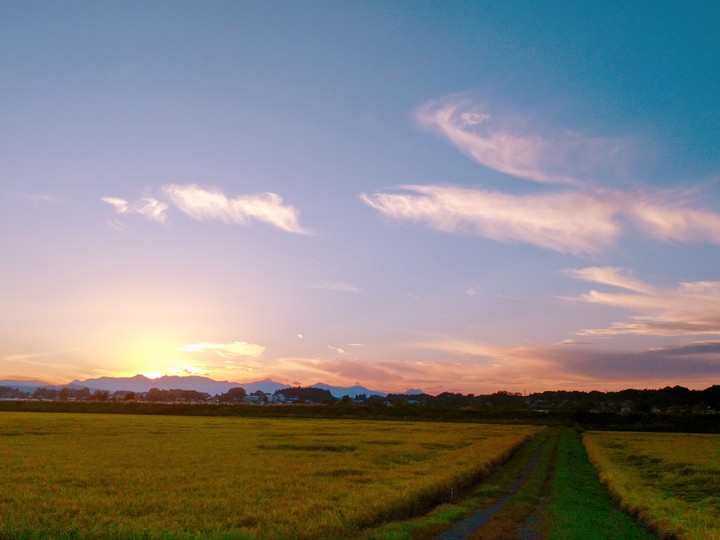sunset