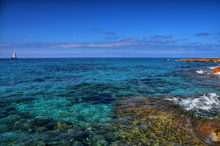 Green sea
