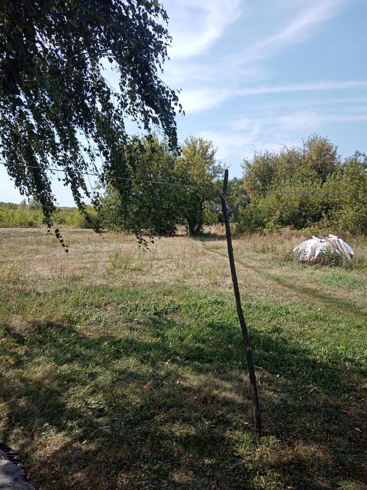 село