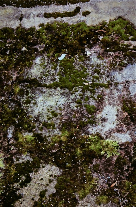 Greenstones