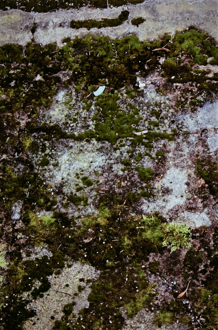 Greenstones