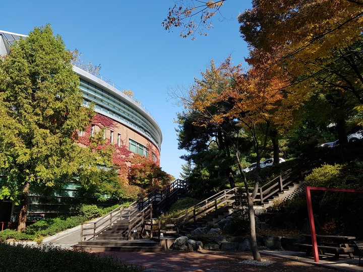 Bright colour of fall