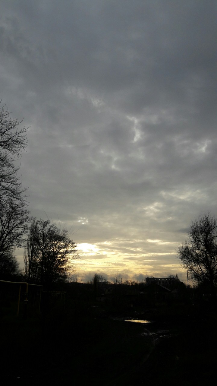 morning