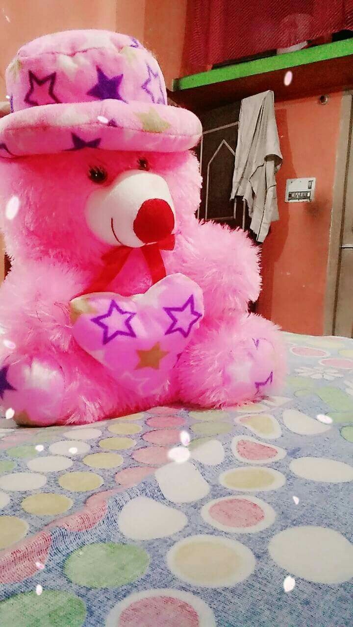 chubby doll