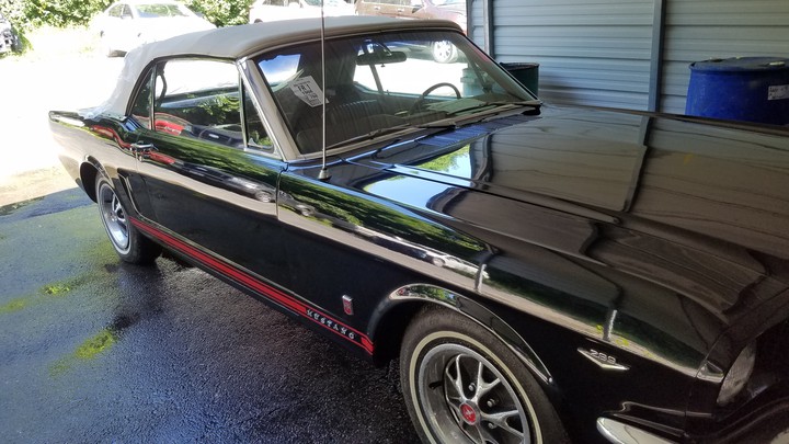 Stang