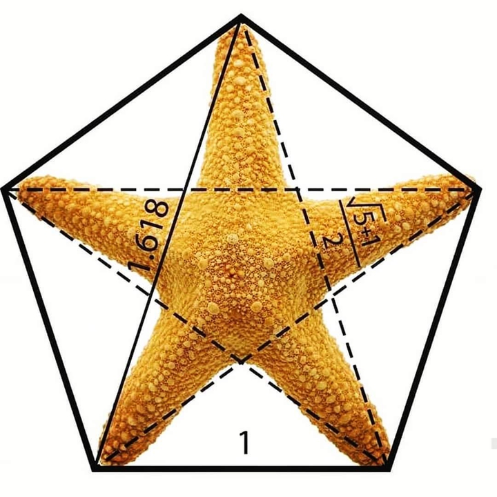 star