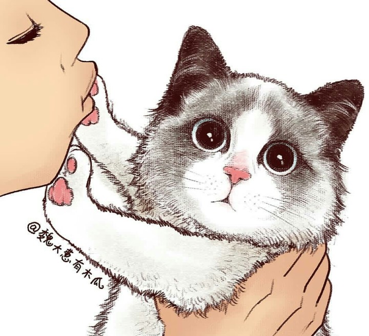 kitty?