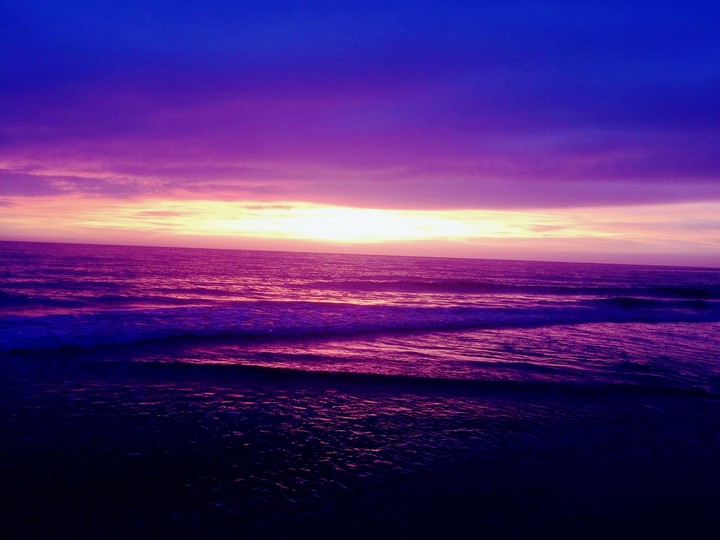 Lavender Beach