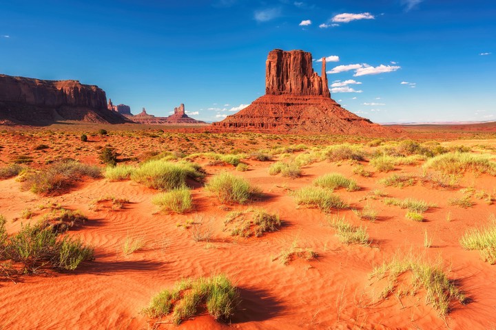 desert