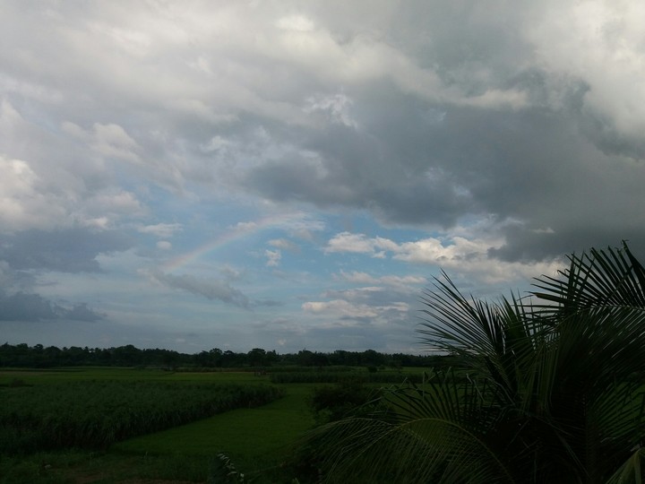 rainbow