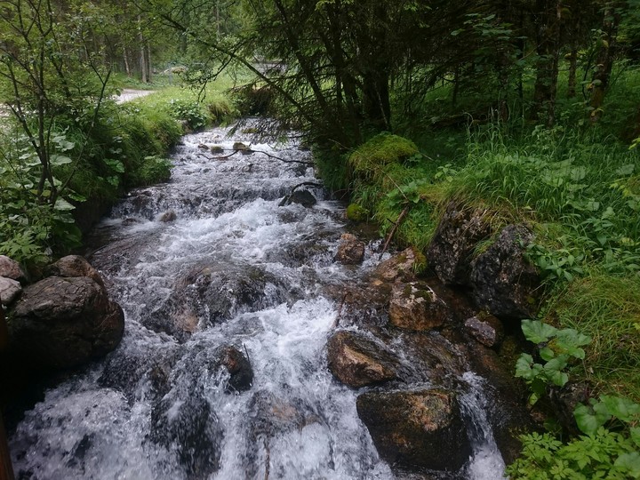 The motion of the water