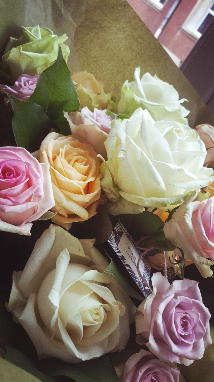 flowers