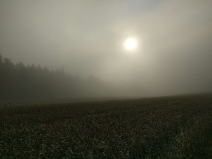 sun behind the fog