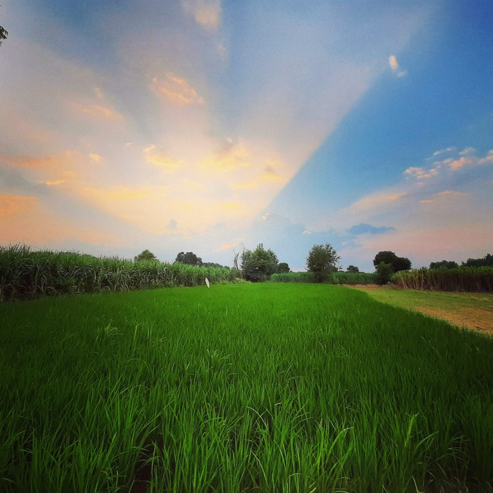 #Beutiful sky #Green Nature #wonderful sky #Grassland