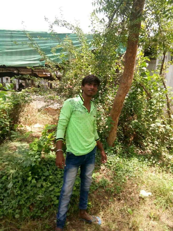 anil