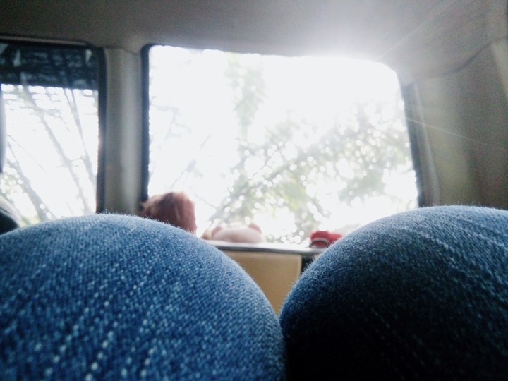 Sunnies on my shimmering sunlight