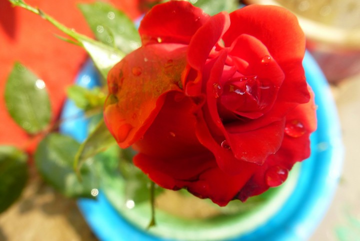 A Close-up