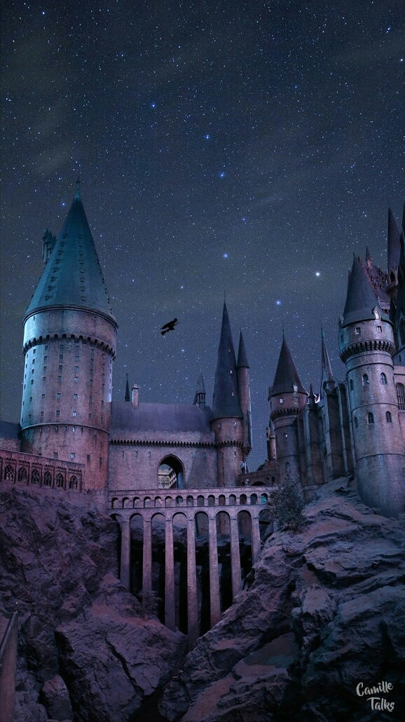 Harry Poter castle
